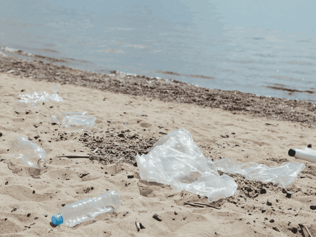 Microplastics' Impact on Our Lives