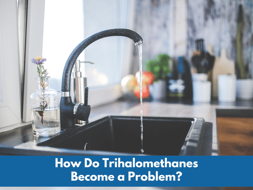 How Do Trihalomethanes Become a Problem?