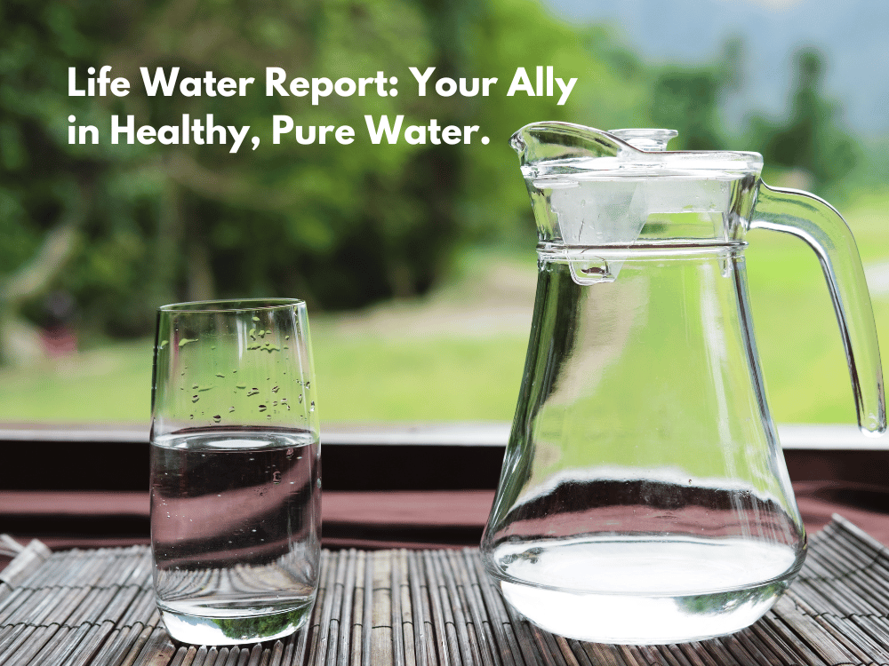 life water report