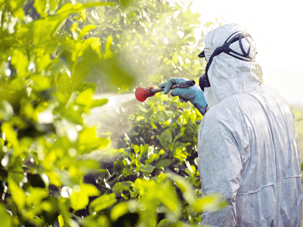 Cardiovascular diseases caused by pesticides