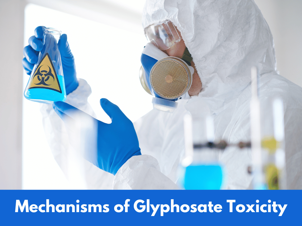 Mechanisms of Glyphosate Toxicity